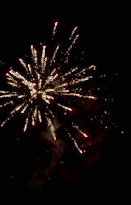 RỰC RỠ THÀNH ĐÔ