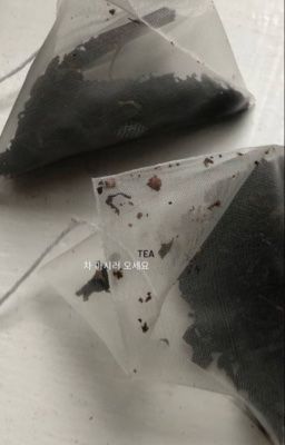 sabbath x vinny | Absofuckinlutely.