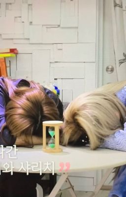 sanayeon - trans