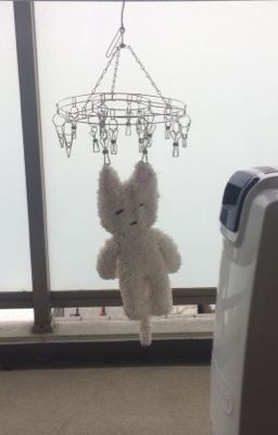 sasunaru - đến cả chút dịu dàng cậu cũng keo kiệt với tôi