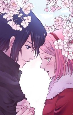 ( Sasusaku ) Đừng cố chấp, mèo con