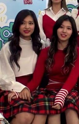 [ SaTzu/TzuSa - TWICE ] Gọi đây là tình yêu