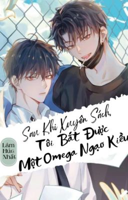 Sau Khi Xuyên Sách, Tôi Bắt Được Một Omega Ngạo Kiều