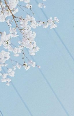 sáu. mười chín; lạc giữa nhớ và quên
