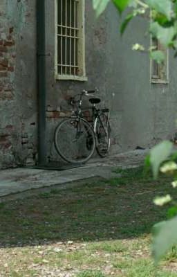 [ scorpio / pisces ] as if time were kind