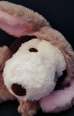 seongsi ∣ pov collection.