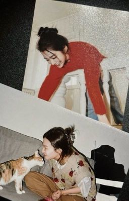[Seulrene | Collection] Xuân Hạ Thu Đông