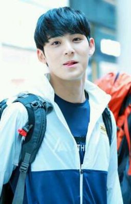 SEVENTEEN | FUNNY | KHI KIM MINGYU ĐI INDO