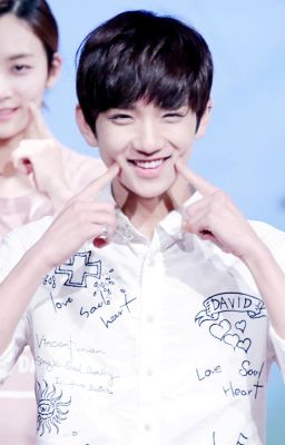 [SEVENTEEN | SeokSoo Fanfic] Đóa hoa của riêng tôi