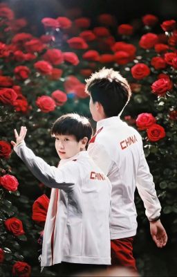 |Shatou| Điều tầm thường nhỏ bé