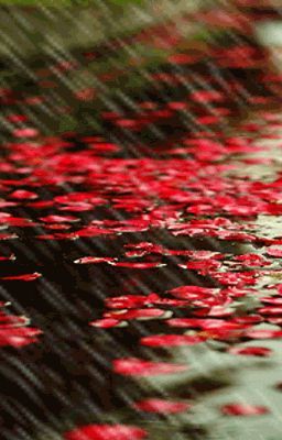 [short fic] Anh hàng cháo