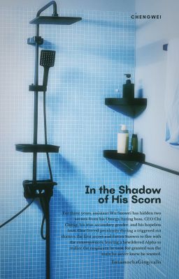 sính úy. trong cái bóng khinh miệt nơi anh