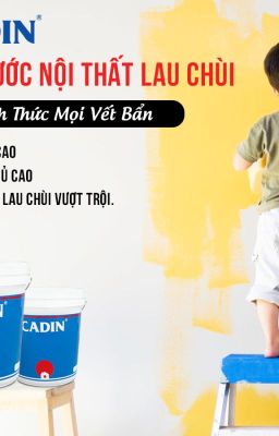 Sơn Lót Kháng Kiềm Nội Thất, Ngoại Thất Cadin Chất Lượng Tuyệt Hảo