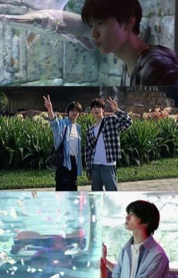 [soogyu] gọi tên