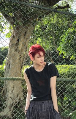 [Soojun] Bất Đắc Dĩ