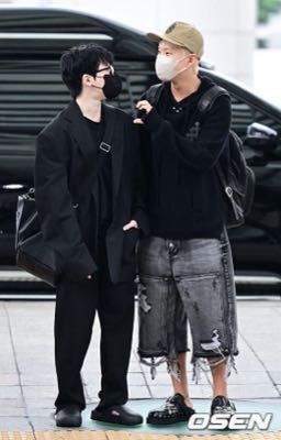 (Soonhoon) Pulchrum