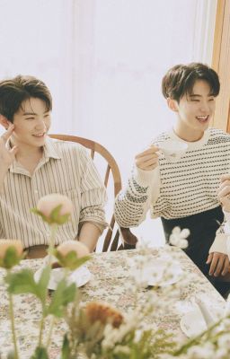 [SOONHOON] XỨNG ĐÔI