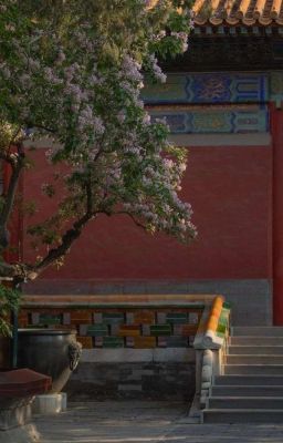 [stanxe] Mộng Ngọc