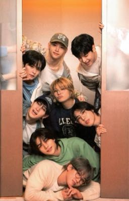 [Straykids/SKZ x Reader] Tám Chuyện Cứu Rỗi Cuộc Đời Tôi