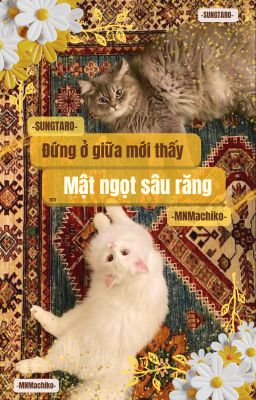 [SungTaro] Đứng ở giữa mới thấy mật ngọt sâu răng