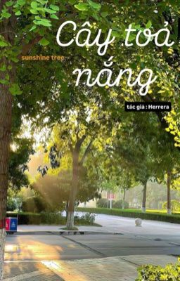 sunshine tree ( cây toả nắng )