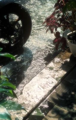 ta đã thấy gì trong đêm nay?