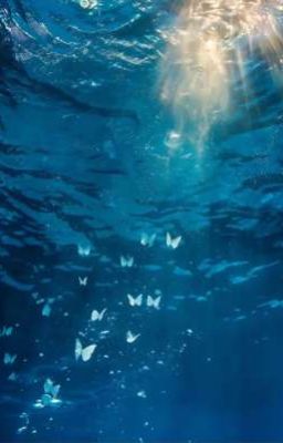 Ta Đi Lạc Trong Đời Ai?