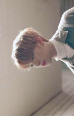 ❝ta lại gặp nhau mỗi khi gió xuân về, người nhé?❞ ❁ joshua ✓