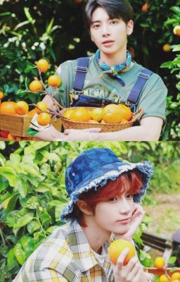 Taegyu ☆ cam ngọt