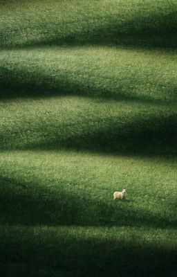 taekook | ngày mai chia tay nhé