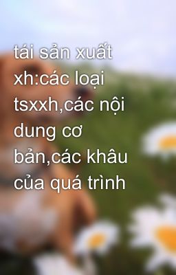 tái sản xuất xh:các loại tsxxh,các nội dung cơ bản,các khâu của quá trình