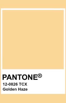 tân sơn nhất | vừa hay đúng lúc