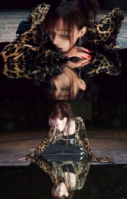 Tập Hồ Sơ Thầm Kín 