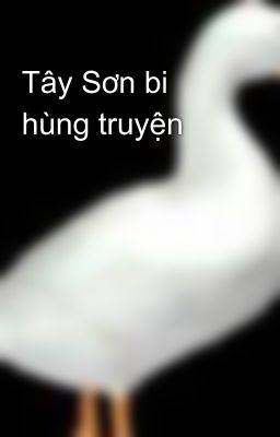 Tây Sơn bi hùng truyện