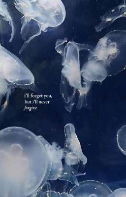 tbtn ; jellyfish