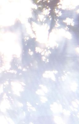 tbtn • lân long • whiskey