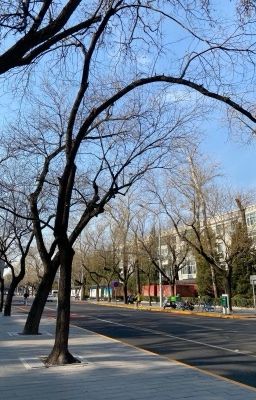 |Textfic| Mùa đông, tôi và em