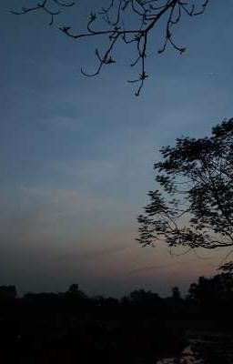 Thần sáng tạo và tân thế giới