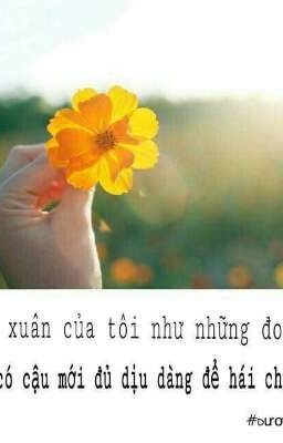 Thanh Xuân Của Bảo Dương