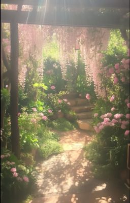 The Smile Of Eden