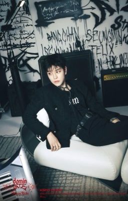 Thị vệ của Vương gia [Seunglixver]
