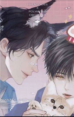 [ Thiệu Giản ](H) Thách Thức!