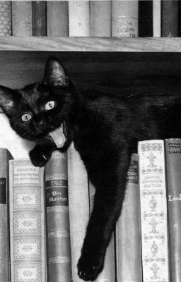 Thơ tự làm - Mạc Vô Dương - Thơ các kiểu