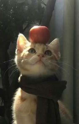 Thư tình⋆. 𐙚 ̊