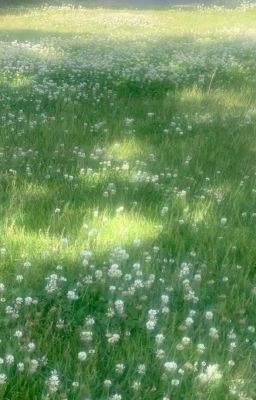 thực sự ... phải làm gì để cậu thích tớ đây ?