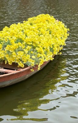 Thượng Mỹ [Bàn về lý do Đông Hải Tam Thái Tử được phong thần]
