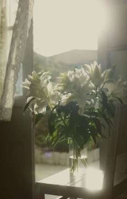 Tia lửa & Những vụ kiện [SkyNani]