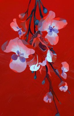 Tích Tịch Tình Tang