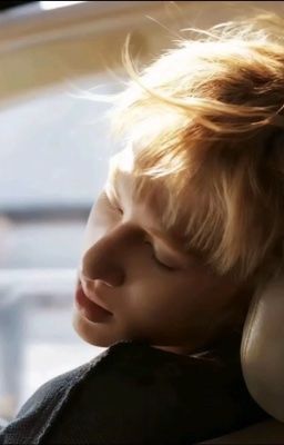 tiệm sách cũ; marjames