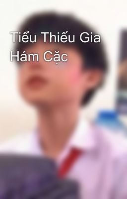 Tiểu Thiếu Gia Hám Cặc